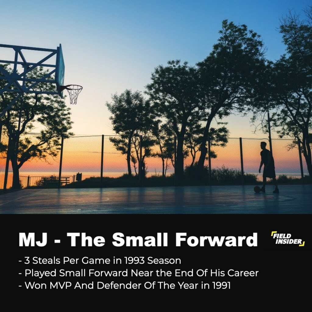 Michael Jordan, The Small Forward