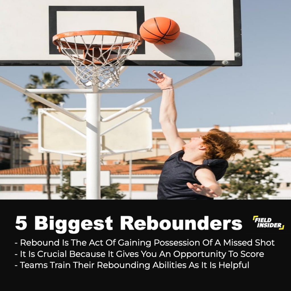 The Top 5 Best NBA Rebounders Of All Time Field Insider